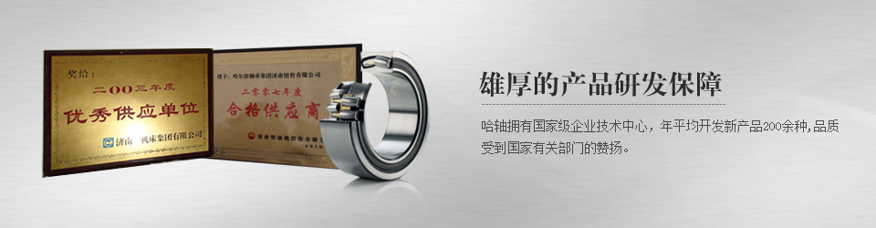 哈軸濟(jì)南銷售有限公司滾動軸承，深溝球軸承